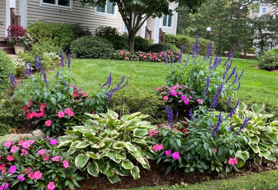 clipper-landscape-planting-design